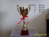 Award Cup (835#)