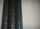 Galvanized/PVC Coated Hexagonal Wire Netting