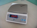 Electronic Scale