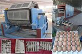 Paper Egg Tray Equipment