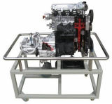 Passat 1.8t Engine/ Clutch / Manual Transmission Anatomical Model