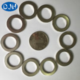 Rare Earth Permanent Neodymium Magnet with RoHS (DRM-017)