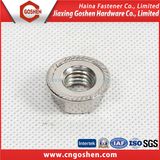 Ss304 Hex Flange Head Nut / Flange Nut DIN6923