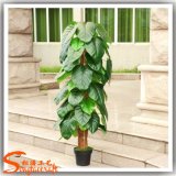 Home Decoration Evergreen Small Potted Artificial Plant
