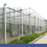 Exhaust Ventilation Fan for Glass Greenhouse
