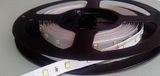 60LED/M SMD2835 Concolorous Non-Waterproof 24V Flexible LED Strip Light