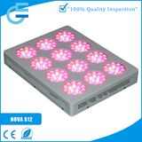 Optical Lens 400W Blooming Grow Panel