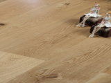 Russian Oak UV Lacquer Brushed Engineered Flooring (F1427)