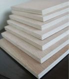 Factory Direct Sale of Commercial Plywood