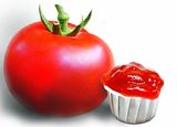 Drum Packing Tomato Sauce with High Quality