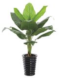 Eco-Friendly Artificial Flower Leaf Bonsai Artificial Plant/Artificial Plant Bonsai 313