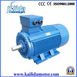 3 phase 250KW Electric AC Fan Motors