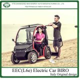Electric Small Cars