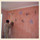 Wall Emulsion Paint