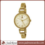 Charm and Thin Stainless Steel Ladies Watches (RS1145)
