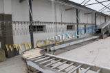 Poultry Slaughtering Machines for Different Capacity