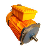 Yl Series Electric Motor (New Design electric motor) (YL)
