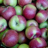 Jiguan Apple