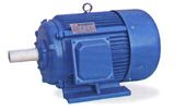 Y Series Motor