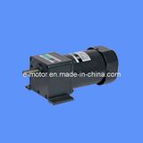 Gear Motor