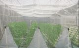 4m Wide Plastic Anti Insect Nets for Agriculture