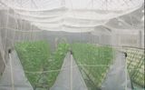 4m Wide Plastic Anti Insect Nets for Agriculture