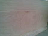 3.2mm 3.6mm Okoume Door Skin Plywood