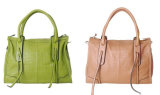 Fashion Ladies Handbag (ZXT01)