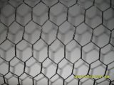 Coated Hex Wire Mesh