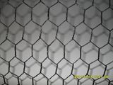 Coated Hex Wire Mesh