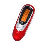 Flash MP3 Digital Player