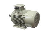Y2 Series AC Electric Motor Cast Iron 2p 2.2kw