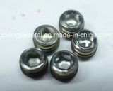 Stainless Steel Threaded Furniture Insert Nut