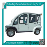 Electric Passenger Car, with Aluminum Hard Door, Eg6043kf