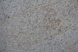 Brown Granite Chinese Night Rose Granite