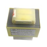 Low Frequency Transformer (TZ41)