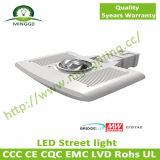 30W LED COB Street Light with Outdoor Lamp