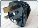 Plug-Bs13A