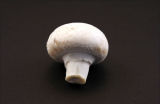 Agaricus Bisporus Extract; Button Mushroom; GMP/HACCP Certificate; Edible and Medicinal Mushroom