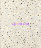 Laser Embroidry/3D Embroidery/Satin Fabric/Voile Lace Fabric Factory Directly Garments Jg010-1