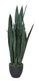 Artificial Plants and Flowers of Sancevieria Jf655 Green