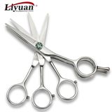 Convex Edge Professional Hair Scissor (LY-AD)