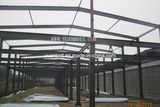 Steel Building of Light Standard Steel Structure (SC-1055)