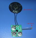 Light Sensor Sound Module/Light Sensor Voice Module