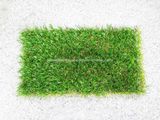 25m*4m Good Quality Green Artificial Grass Carpet