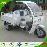 High Quality Chongqing Gas Motor Tricycle