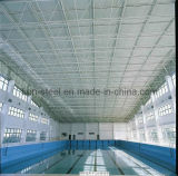 Steel Net Construction for Swimming Bath Building