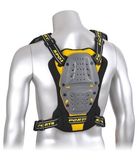 Ski Back Protector