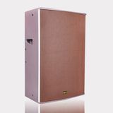 Qsn 2-Way 450W Bassreflex Speakers