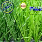 Anti-UV Football Artificial Grass